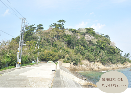 中手島1