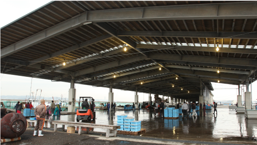 魚市場・加工団地