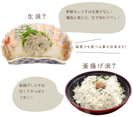 しらす2
